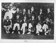 Cricket 1911
